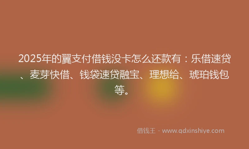 2025年的翼支付借钱没卡怎么还款有：乐借速贷、麦芽快借、钱袋速贷融宝、理想给、琥珀钱包等。