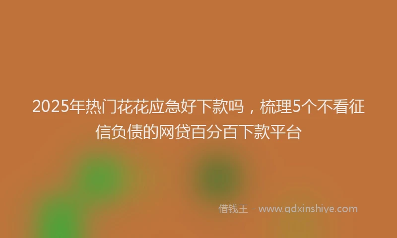 2025年热门花花应急好下款吗，梳理5个不看征信负债的网贷百分百下款平台
