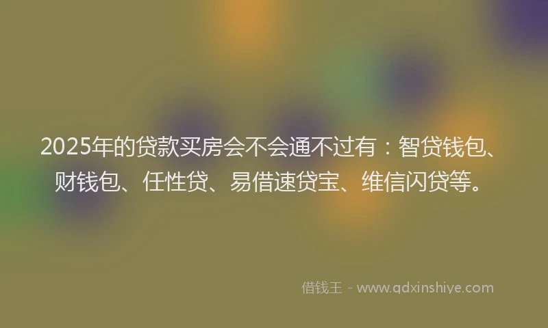 2025年的贷款买房会不会通不过有：智贷钱包、财钱包、任性贷、易借速贷宝、维信闪贷等。