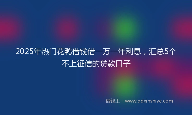 2025年热门花鸭借钱借一万一年利息，汇总5个不上征信的贷款口子