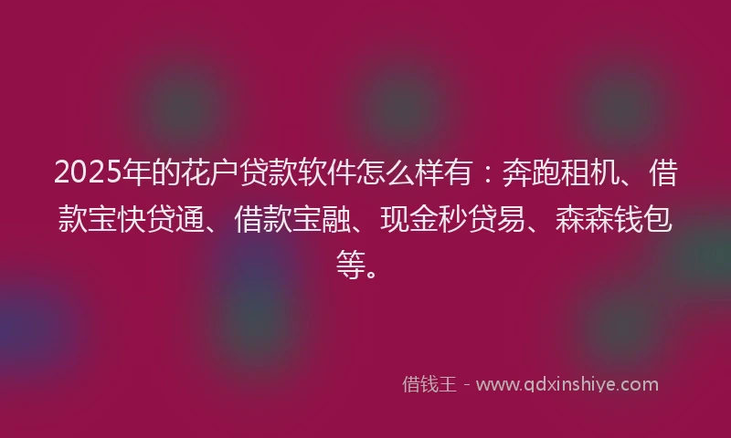 2025年的花户贷款软件怎么样有：奔跑租机、借款宝快贷通、借款宝融、现金秒贷易、森森钱包等。