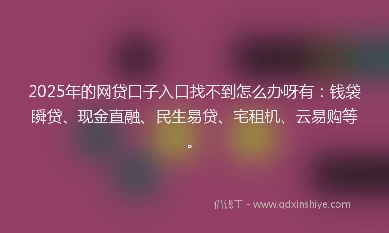 2025年的网贷口子入口找不到怎么办呀有：钱袋瞬贷、现金直融、民生易贷、宅租机、云易购等。
