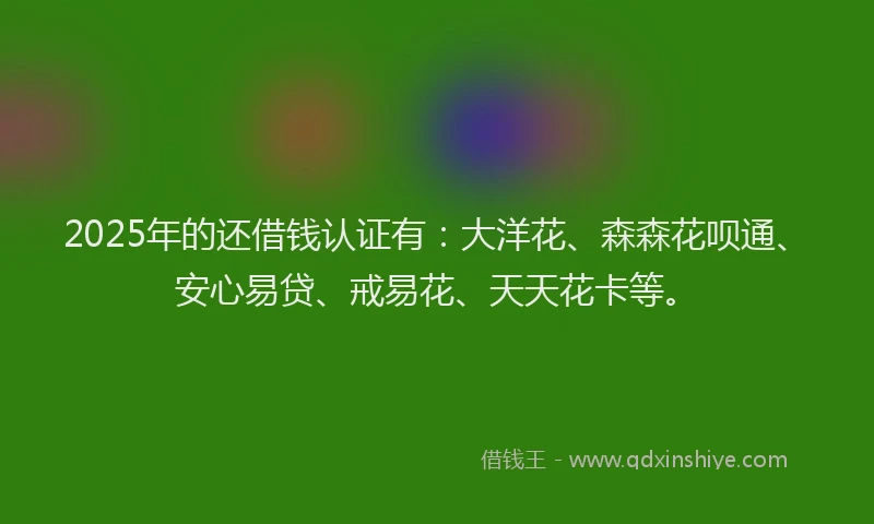 2025年的还借钱认证有：大洋花、森森花呗通、安心易贷、戒易花、天天花卡等。