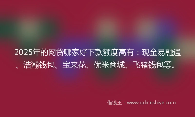 2025年的网贷哪家好下款额度高有：现金易融通、浩瀚钱包、宝来花、优米商城、飞猪钱包等。