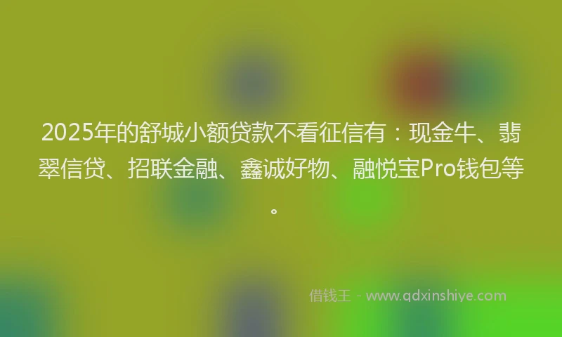 2025年的舒城小额贷款不看征信有：现金牛、翡翠信贷、招联金融、鑫诚好物、融悦宝Pro钱包等。