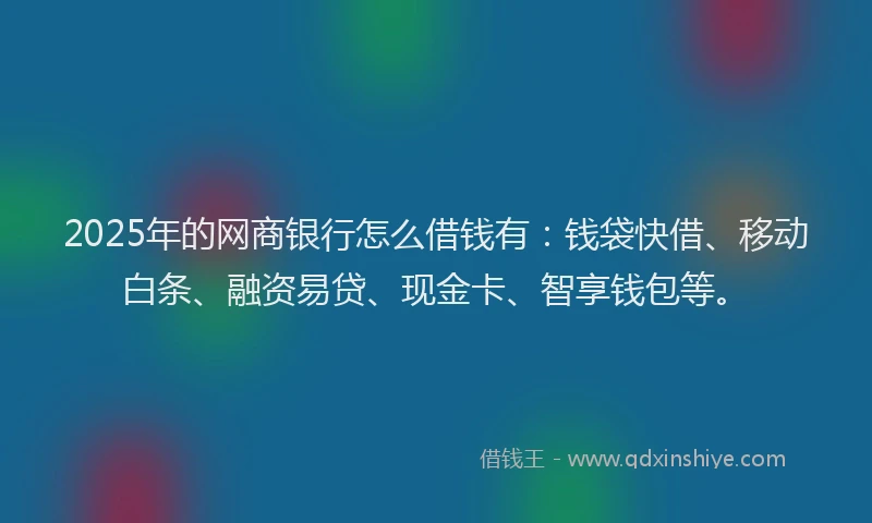 2025年的网商银行怎么借钱有：钱袋快借、移动白条、融资易贷、现金卡、智享钱包等。