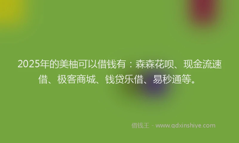 2025年的美柚可以借钱有：森森花呗、现金流速借、极客商城、钱贷乐借、易秒通等。