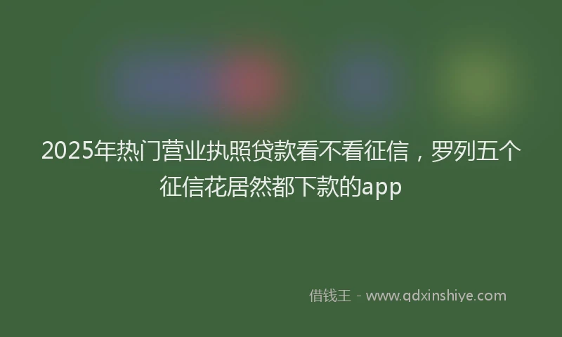 2025年热门营业执照贷款看不看征信，罗列五个征信花居然都下款的app