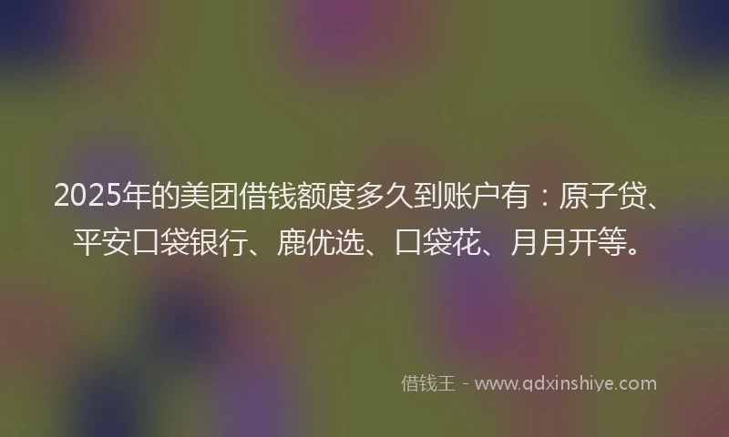 2025年的美团借钱额度多久到账户有：原子贷、平安口袋银行、鹿优选、口袋花、月月开等。
