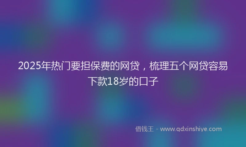 2025年热门要担保费的网贷，梳理五个网贷容易下款18岁的口子