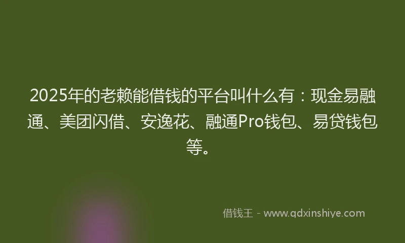 2025年的老赖能借钱的平台叫什么有：现金易融通、美团闪借、安逸花、融通Pro钱包、易贷钱包等。