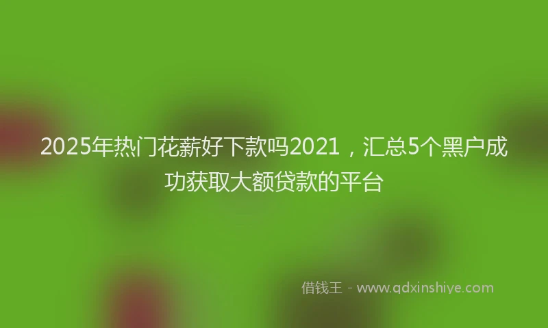 2025年热门花薪好下款吗2021，汇总5个黑户成功获取大额贷款的平台
