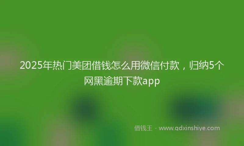 2025年热门美团借钱怎么用微信付款，归纳5个网黑逾期下款app