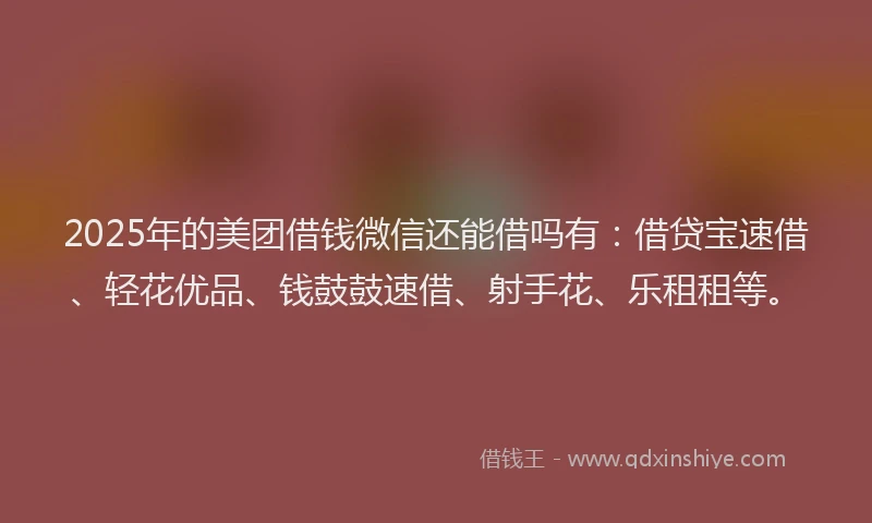2025年的美团借钱微信还能借吗有：借贷宝速借、轻花优品、钱鼓鼓速借、射手花、乐租租等。
