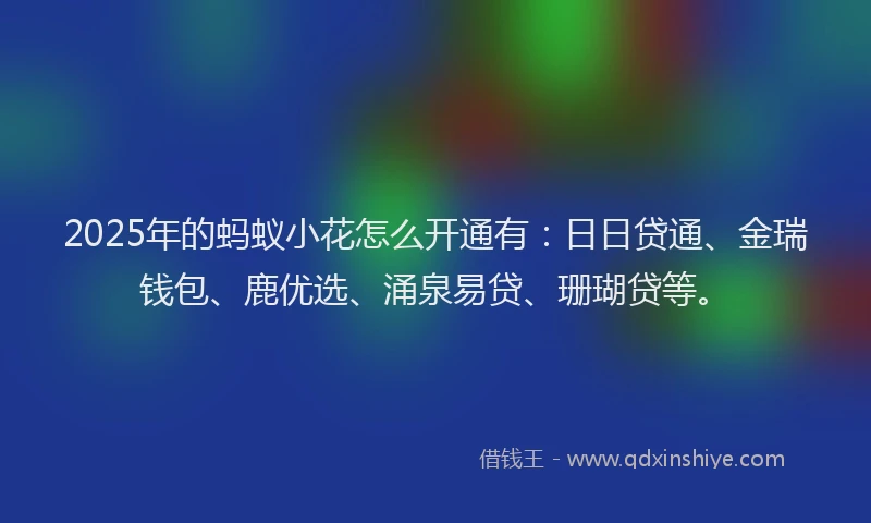 2025年的蚂蚁小花怎么开通有：日日贷通、金瑞钱包、鹿优选、涌泉易贷、珊瑚贷等。