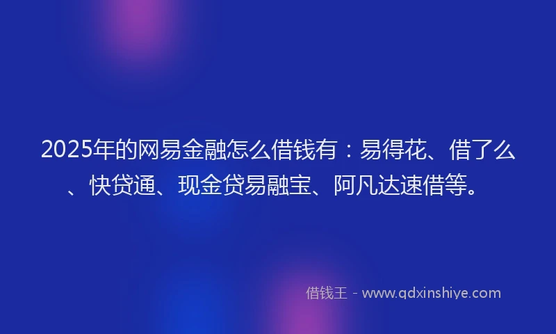 2025年的网易金融怎么借钱有：易得花、借了么、快贷通、现金贷易融宝、阿凡达速借等。