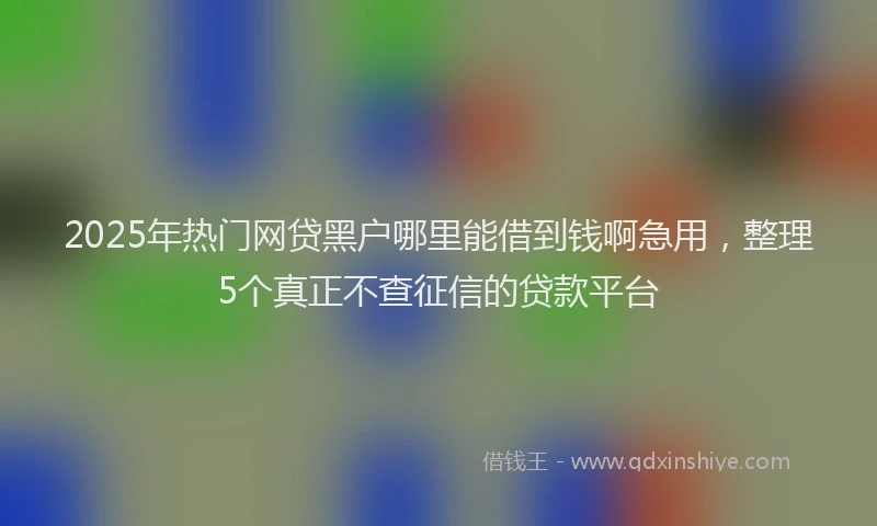 2025年热门网贷黑户哪里能借到钱啊急用，整理5个真正不查征信的贷款平台