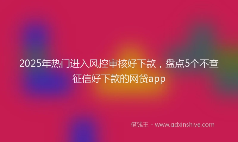 2025年热门进入风控审核好下款，盘点5个不查征信好下款的网贷app