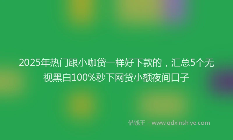 2025年热门跟小咖贷一样好下款的，汇总5个无视黑白100%秒下网贷小额夜间口子