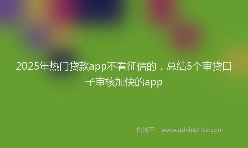 2025年热门贷款app不看征信的，总结5个审贷口子审核加快的app