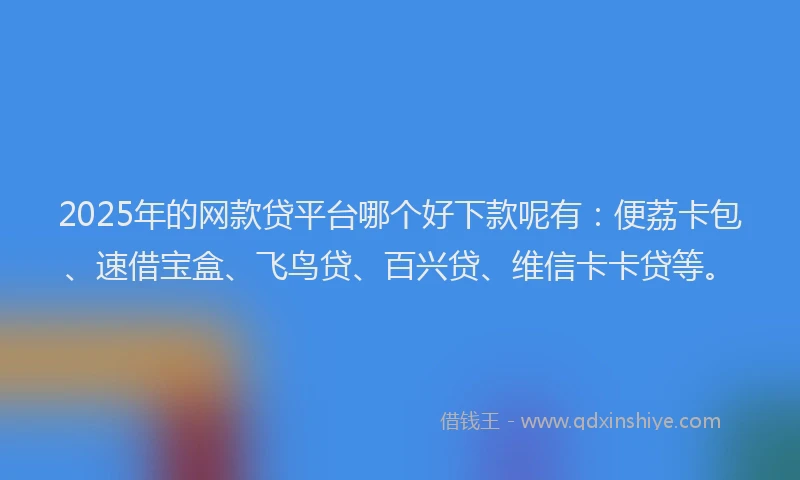 2025年的网款贷平台哪个好下款呢有：便荔卡包、速借宝盒、飞鸟贷、百兴贷、维信卡卡贷等。