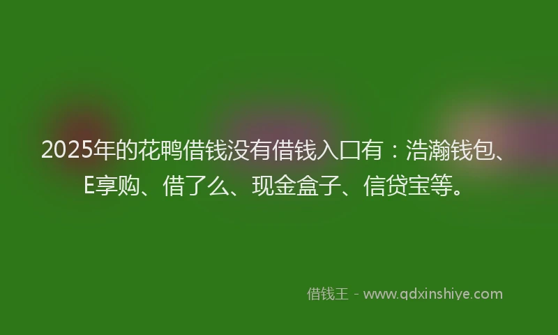 2025年的花鸭借钱没有借钱入囗有：浩瀚钱包、E享购、借了么、现金盒子、信贷宝等。
