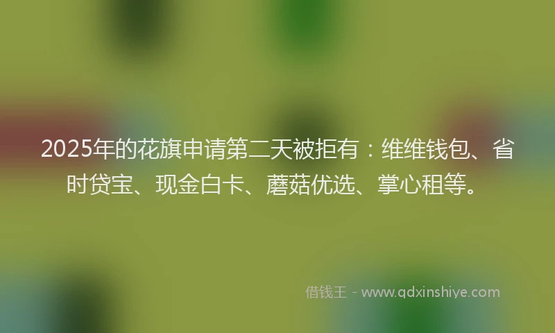 2025年的花旗申请第二天被拒有：维维钱包、省时贷宝、现金白卡、蘑菇优选、掌心租等。