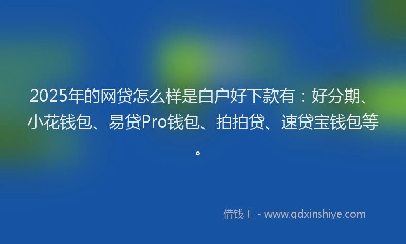 2025年的网贷怎么样是白户好下款有：好分期、小花钱包、易贷Pro钱包、拍拍贷、速贷宝钱包等。