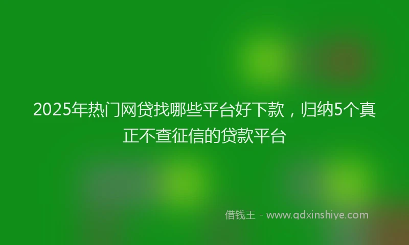 2025年热门网贷找哪些平台好下款，归纳5个真正不查征信的贷款平台
