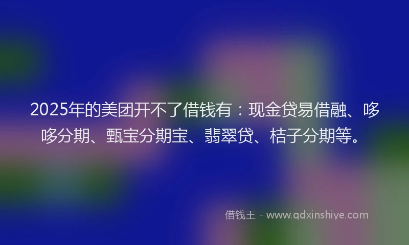 2025年的美团开不了借钱有：现金贷易借融、哆哆分期、甄宝分期宝、翡翠贷、桔子分期等。