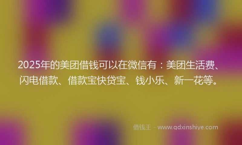 2025年的美团借钱可以在微信有：美团生活费、闪电借款、借款宝快贷宝、钱小乐、新一花等。