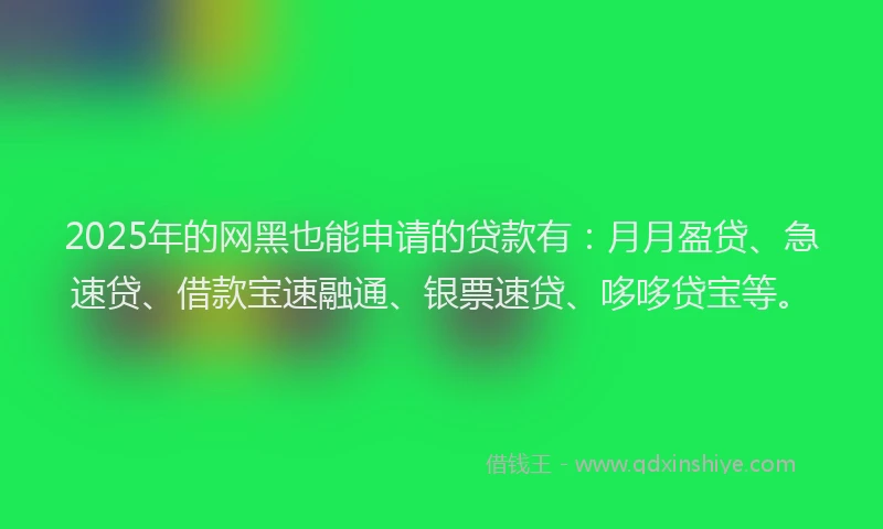 2025年的网黑也能申请的贷款有：月月盈贷、急速贷、借款宝速融通、银票速贷、哆哆贷宝等。