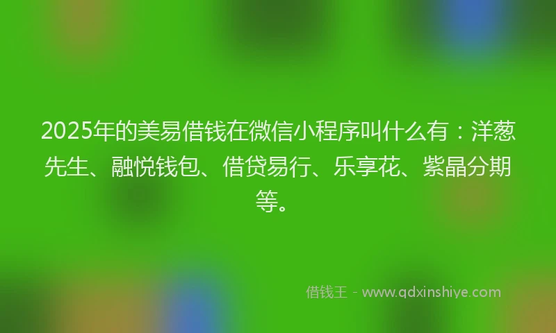 2025年的美易借钱在微信小程序叫什么有：洋葱先生、融悦钱包、借贷易行、乐享花、紫晶分期等。