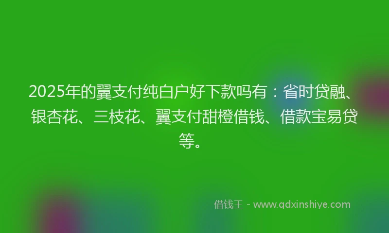 2025年的翼支付纯白户好下款吗有：省时贷融、银杏花、三枝花、翼支付甜橙借钱、借款宝易贷等。