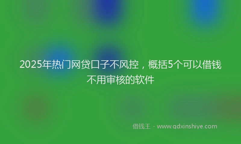 2025年热门网贷口子不风控，概括5个可以借钱不用审核的软件