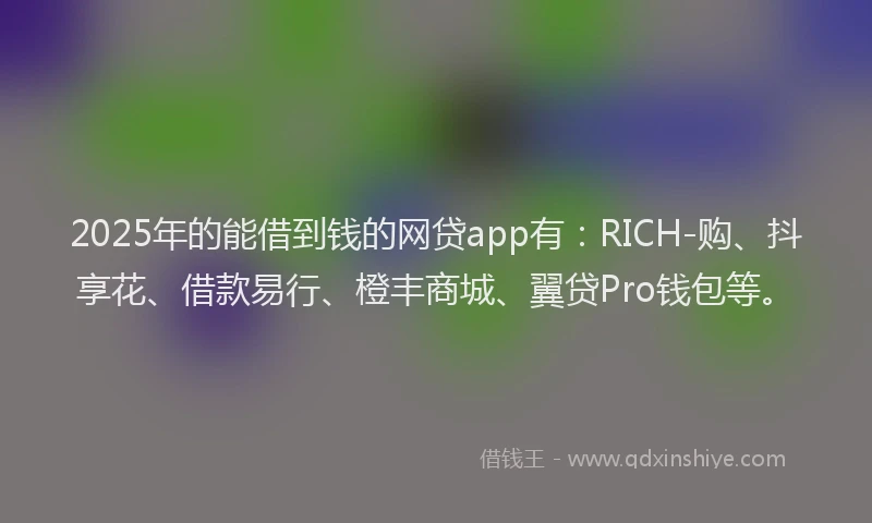 2025年的能借到钱的网贷app有：RICH-购、抖享花、借款易行、橙丰商城、翼贷Pro钱包等。