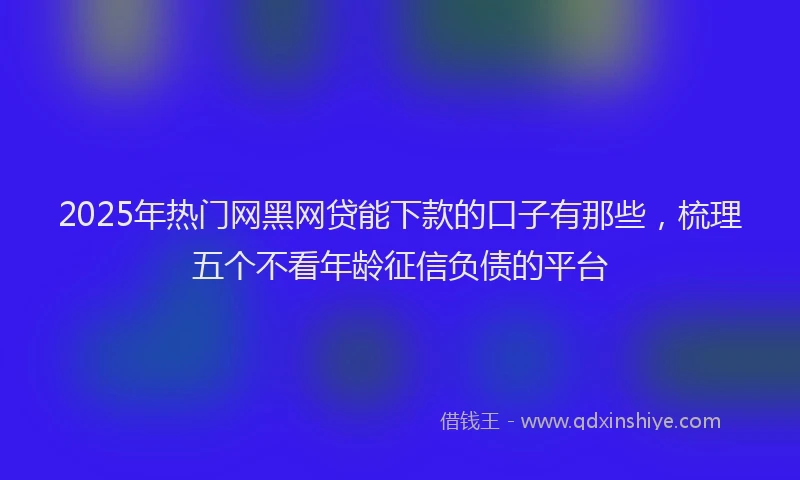 2025年热门网黑网贷能下款的口子有那些，梳理五个不看年龄征信负债的平台
