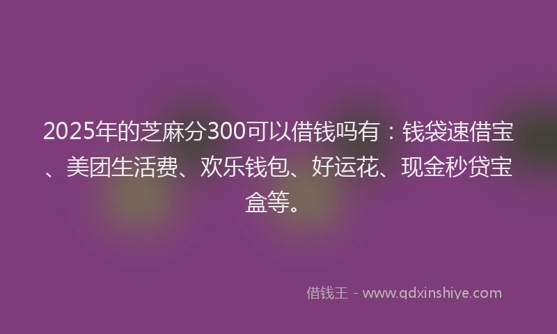 2025年的芝麻分300可以借钱吗有：钱袋速借宝、美团生活费、欢乐钱包、好运花、现金秒贷宝盒等。