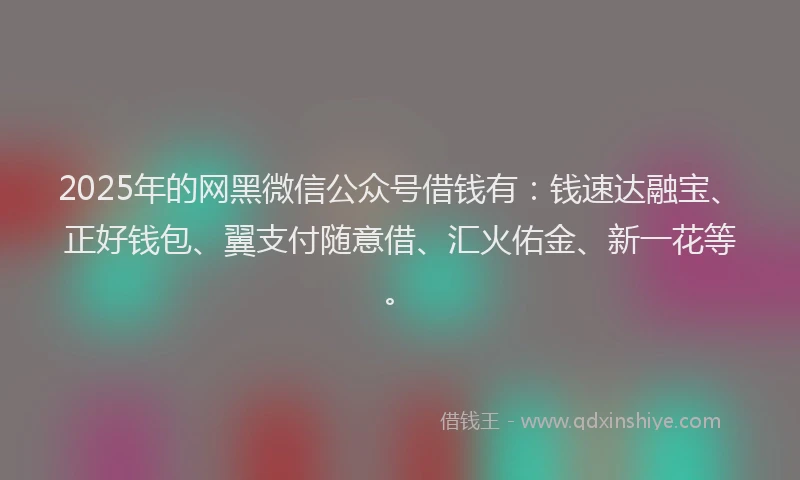 2025年的网黑微信公众号借钱有：钱速达融宝、正好钱包、翼支付随意借、汇火佑金、新一花等。