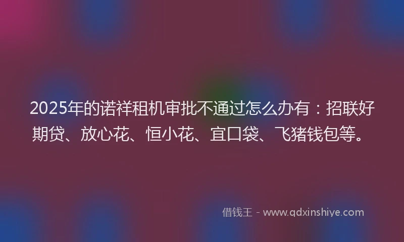 2025年的诺祥租机审批不通过怎么办有：招联好期贷、放心花、恒小花、宜口袋、飞猪钱包等。