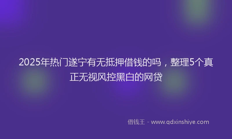 2025年热门遂宁有无抵押借钱的吗，整理5个真正无视风控黑白的网贷
