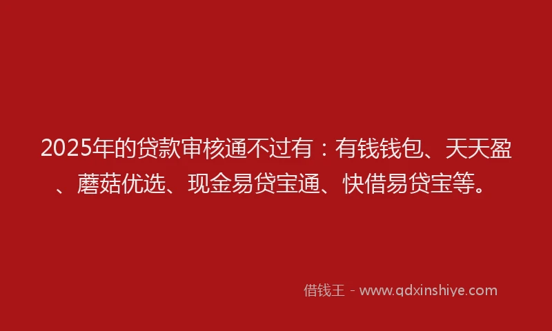 2025年的贷款审核通不过有：有钱钱包、天天盈、蘑菇优选、现金易贷宝通、快借易贷宝等。