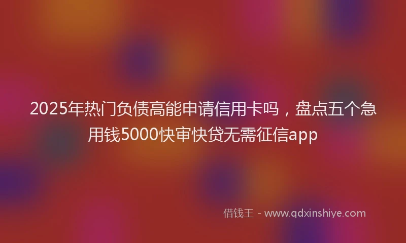 2025年热门负债高能申请信用卡吗，盘点五个急用钱5000快审快贷无需征信app