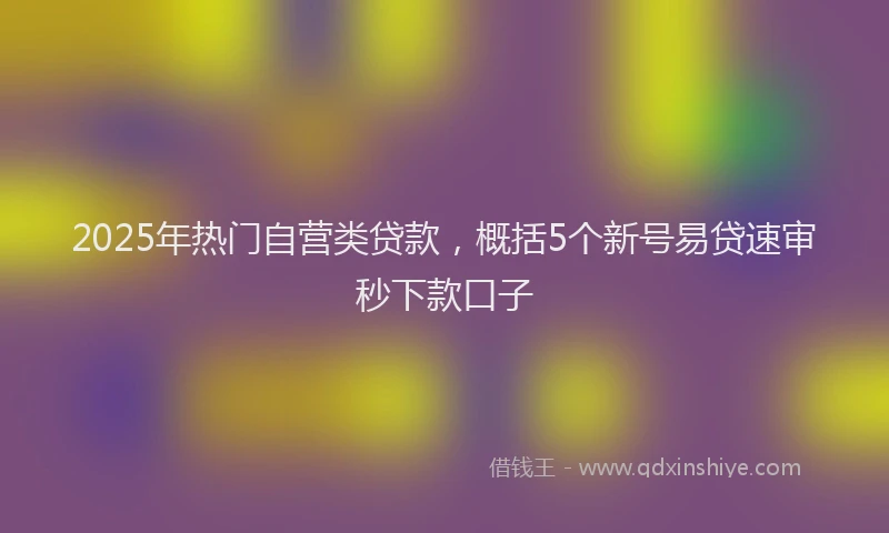 2025年热门自营类贷款，概括5个新号易贷速审秒下款口子