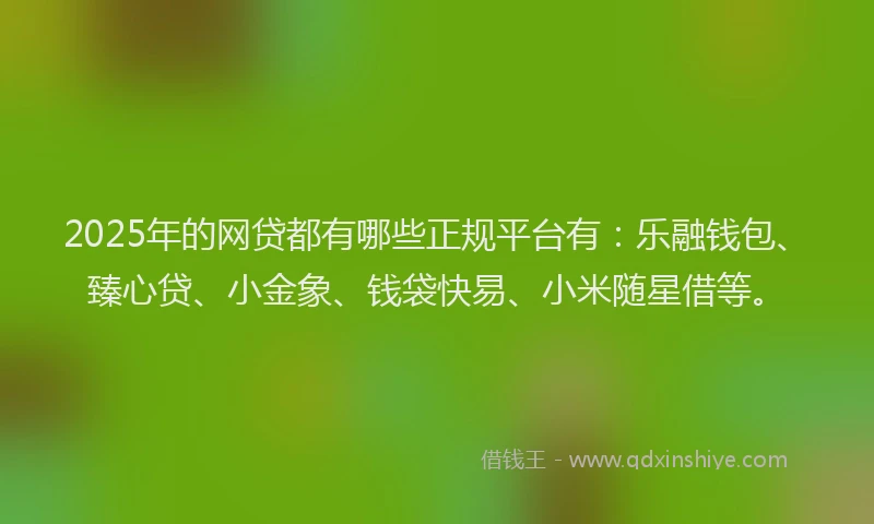 2025年的网贷都有哪些正规平台有：乐融钱包、臻心贷、小金象、钱袋快易、小米随星借等。