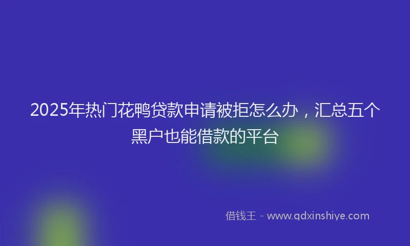 2025年热门花鸭贷款申请被拒怎么办，汇总五个黑户也能借款的平台