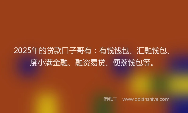 2025年的贷款口子哥有：有钱钱包、汇融钱包、度小满金融、融资易贷、便荔钱包等。