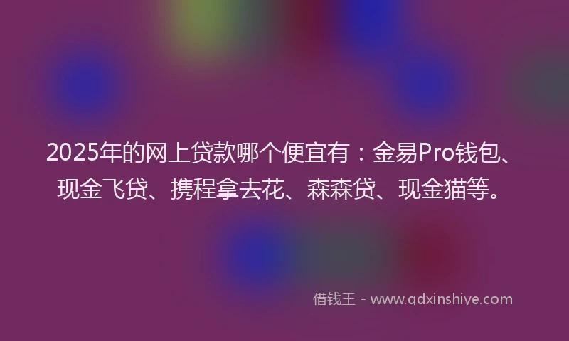 2025年的网上贷款哪个便宜有：金易Pro钱包、现金飞贷、携程拿去花、森森贷、现金猫等。