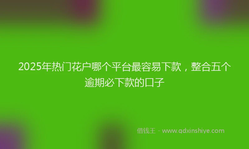 2025年热门花户哪个平台最容易下款，整合五个逾期必下款的口子