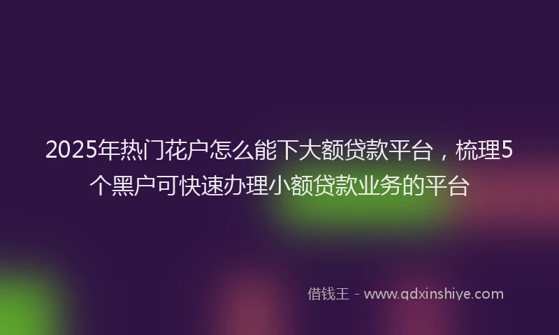2025年热门花户怎么能下大额贷款平台，梳理5个黑户可快速办理小额贷款业务的平台
